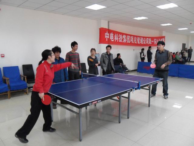 公司第一届乒乓球赛